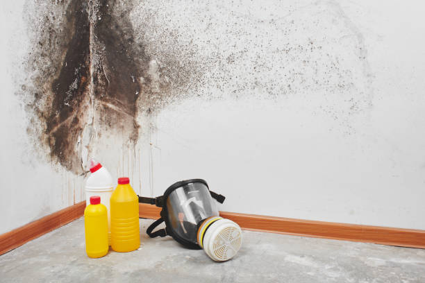 Best Mold Removal Near Me  in Centerfield, UT