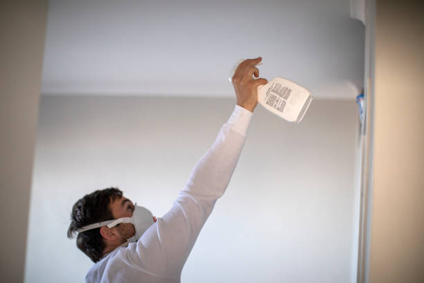 Best Best Mold Removal Companies  in Centerfield, UT