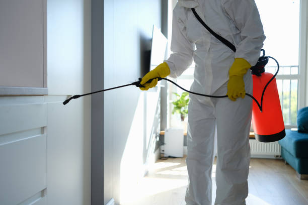 Best Attic Mold Removal  in Centerfield, UT