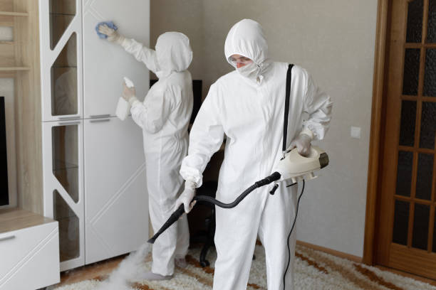 Best Certified Mold Removal  in Centerfield, UT