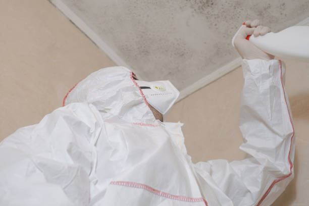 Best Office Mold Removal Services  in Centerfield, UT