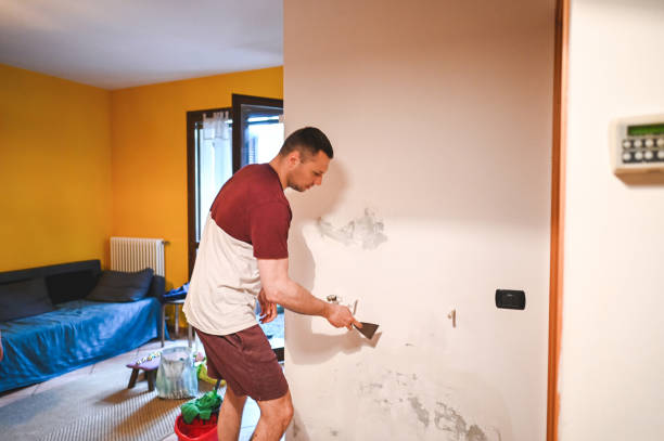 Best Certified Mold Removal  in Centerfield, UT