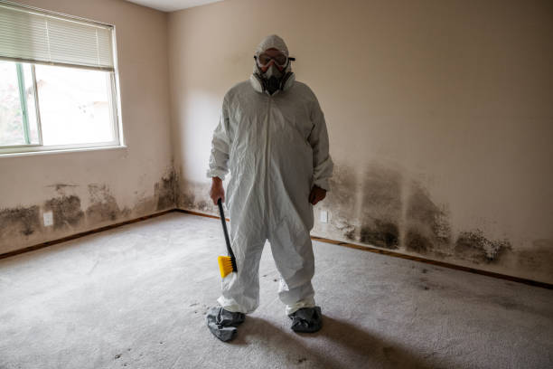 Office Mold Removal Services in Centerfield, UT