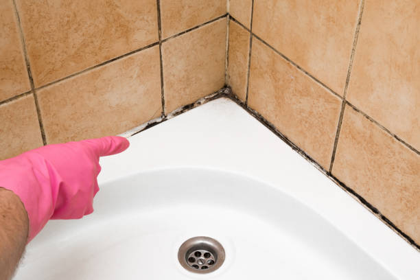 Centerfield, UT Mold Removal Company